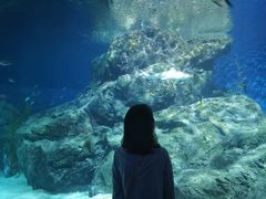 -暹罗海洋世界