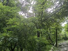 -阳台山自然风景区