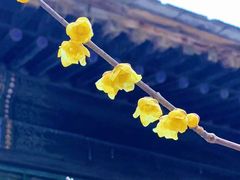 -颐和园