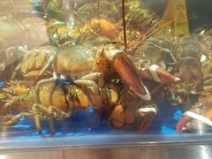 -盒马鲜生(莱蒙都会店)