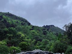 -黔灵山公园