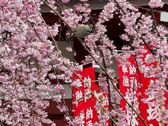 -浅草寺