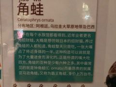 -zoonana室内动物园(东方福来德店)