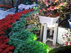 -天怡·鱼工厂(临江店)