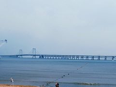 -星海湾跨海大桥