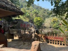 -野象谷景区