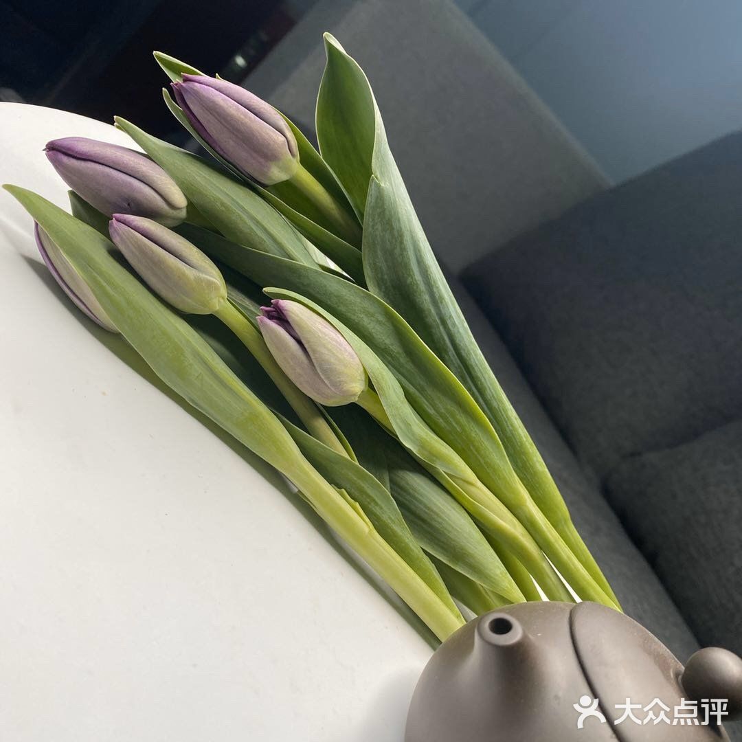 亭亭玉立郁金香🌷