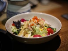 蔬菜沙拉-蟹将军·松叶蟹和牛日料放题自助(K11店)