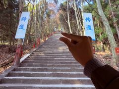 -窦圌山风景区