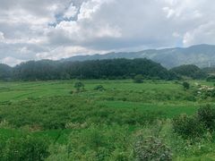 -大围山国家森林公园