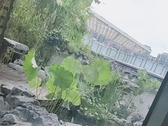 -道南書院·私房菜·早午茶·茶馆