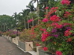 -广东外语外贸大学(白云山校区)