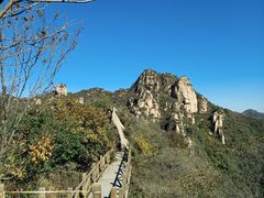 -大岭沟猕猴桃谷风景区