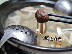 -探窝·竹笙椰子鸡(杨箕店)