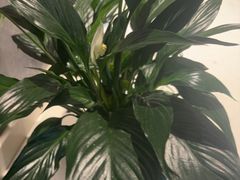 -江南宴•沿江菜江南味(七街店)