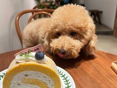 -奈诺甜品·生日蛋糕·下午茶(古城店)