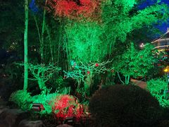 -花水湾第一村温泉大酒店