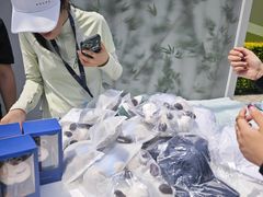 -颖奕安亭高尔夫俱乐部