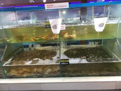 -兄弟爬爬虾(北京路店)