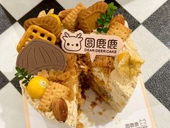-圆鹿鹿·鲜果半糖蛋糕(常平店)