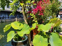 -嘉兴月河历史街区