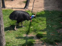 -西霞口神雕山野生动物世界