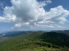 -武陵山森林公园