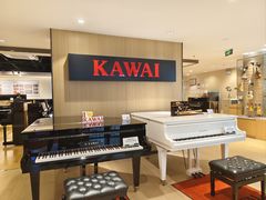 -柏斯音乐艺术中心·钢琴·吉他(上音店)