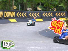 -圣淘沙天际线斜坡滑车