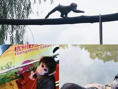 -杭州野生动物世界