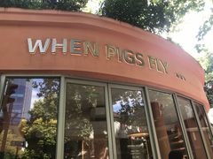 -WHEN PIGS FLY当猪飞