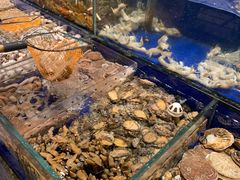 水产区-高佳庄·舟山海鲜(海景旗舰店)