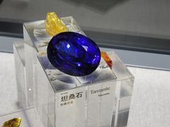 -中国地质博物馆