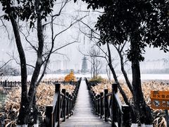 -洋湖国家湿地公园