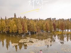 -白鹭湾湿地公园