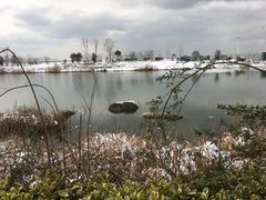 -苏州湾王焰温泉度假酒店