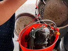 -老财炒饭·熟地蟹·冬瓜蟹