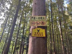 -上海怡沁园度假酒店