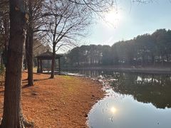 -同里国家湿地公园
