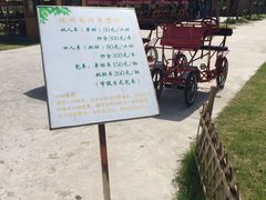 -上海长兴岛郊野公园