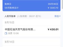 -中国石油徐东路加油站(武汉大道店)