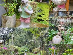 -谷咖啡·鲜花绿植花园餐厅