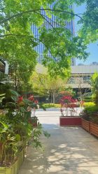 -大美母婴月子中心(馨乐庭店)