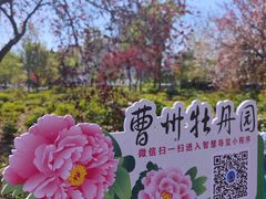 -曹州牡丹园