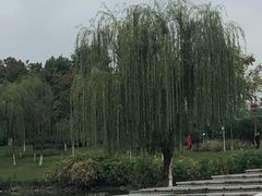 -眉山湿地公园(东坡区)
