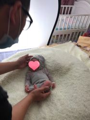 -星宝贝儿童摄影