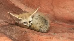 -Zoolung Zoolung动物主题公园(海信广场店)