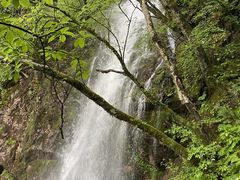 -神农架景区