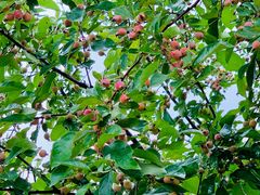 -春晖园度假酒店温泉