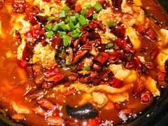 -鸽子窝(黄村店)